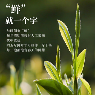 安吉白茶 明前一级绿茶 3g*32袋 独立便携装