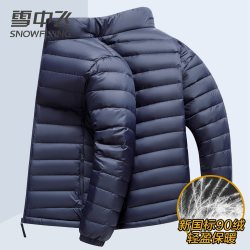 雪中飞 轻薄鸭绒服男女同款立领连帽可脱卸休闲百搭秋羽绒上衣短款
