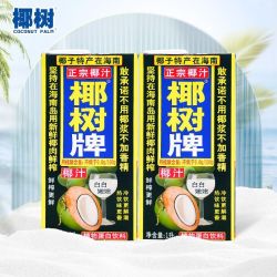 椰树 正宗椰树牌椰子汁1L装新鲜椰子肉鲜榨椰奶椰子水