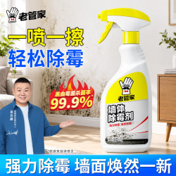 老管家 管家 墙体除霉剂500ml墙面衣柜瓷砖去霉斑霉菌清洁剂喷雾