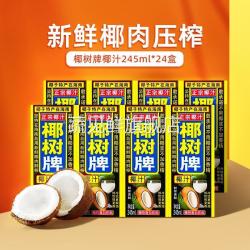 椰汁果汁饮料罐装245ml*12/24盒整箱装植物蛋白椰奶海BY