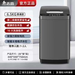 志高 10KG洗衣机全自动家用波轮租房小型宿舍用烘干洗脱一体下排水