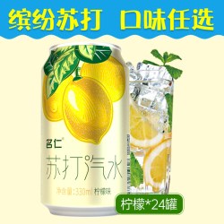 名仁堂 名仁苏打水整箱24瓶柠檬无糖饮料名仁气泡水0糖0脂0卡苏打气泡水