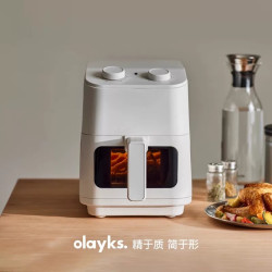 欧莱克 立时空气炸锅多功能家用新款电炸锅5L可视大容量加长款烤鱼