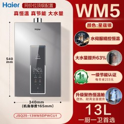 海尔 燃气热水器天然气家用13L/16升水伺服节能恒温零冷水WM5官方