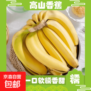 生鲜 新鲜现摘广西高山大香蕉甜蕉当季新鲜水果应季现摘香蕉一整箱批发 高山香蕉 净重9斤