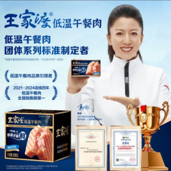 王家渡 低温午餐肉 原味300g一盒