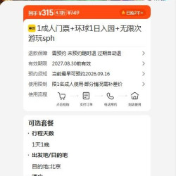 美团 北京环球影城成人门票1日 入园无限次游玩+可约酒店1晚 315元