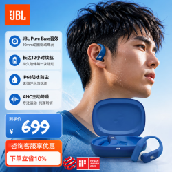 JBL Endurance Peak4 真无线蓝牙耳机 入耳式挂耳运动跑步通话降噪 骑行 海岸蓝