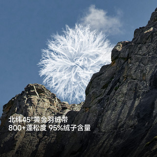 喜马拉雅 800蓬95鹅绒 抗寒防风 L 户外棉服