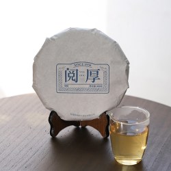 政名 政和政名白茶2023年老茶高山老树茶叶寿眉茶饼300g