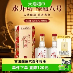 水井坊 浓香白酒礼盒 礼袋  浓香型 52%Vol. 包装 520ml
