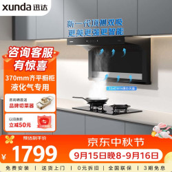 迅达 烟灶二件套 顶侧双吸23m³大吸力油烟机5.0KW可拆洗炉头大底壳换装灶Y1S+S3液化气