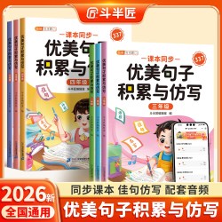 《优美句子积累与仿写大全》