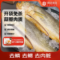 1号会员店 冷冻宁德三去黄花鱼 大黄鱼700g/2条装 海鱼