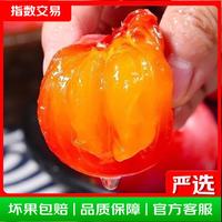 生鲜 火晶柿子软柿子单果约30g 30枚装(托盘装 爆甜口感) 单果30g+(放软食用)
