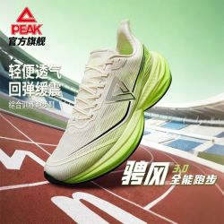 匹克 态极骋风3.0 男款跑步鞋
