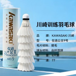 KAWASAKI LittleSwan 小天鹅 小乌梅2.0系列 TG120S83PRO 滚筒洗衣机 12kg 金属钛