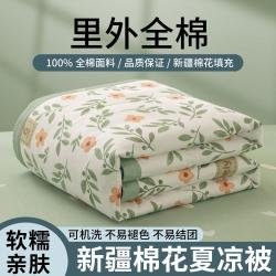 安睡宝 里外全棉印花夏被水洗裸睡夏凉被芯棉花被空调被宿舍单双人薄被子
