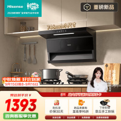 海信 顶侧双吸小尺寸28立方大吸力国标一级家用抽排吸油烟机CXW-300-E3Mini小户型