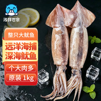 海鲜世家 鲜冻整条大鱿鱼2-4条净重2斤