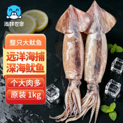 海鲜世家 鲜冻整条大鱿鱼2-4条净重2斤