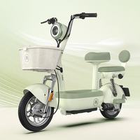 爱玛 48V22AH石墨烯电池 绿色 电动自行车