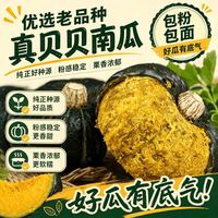 贪吃猴 正宗贝贝南瓜当季新鲜板栗味小南瓜绿贝贝南瓜粉糯香甜整箱批发价