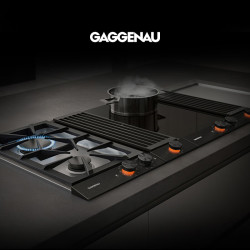 GAGGENAU 官方正品 嘉格纳/GAGGENAU 200系列单双眼燃气灶内嵌