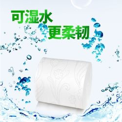 雨森 卷纸卫生纸5层可湿水实惠装无芯学生厕纸纸妇婴纸