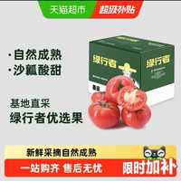 绿行者 沙瓤粉番茄水果西红柿农家老味道果香浓郁