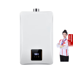先科 家用燃气热水器 低压启动断电记忆智能恒温 10L 浴室安装平衡式变频恒温+升级触屏款 天然气(管道12T)