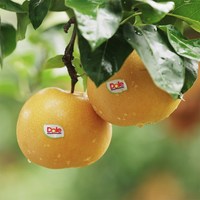 88VIP：都乐 秋月梨新鲜当季水果秋月梨 一整箱1.6kg