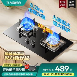 华蒂干 [70%热效率]燃气灶天然气煤气灶双灶防干烧直喷火液化气灶具家用霸王猛火灶不锈钢钢化玻璃面板