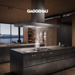 GAGGENAU 官方正品 嘉格纳/GAGGENAU 400系列壁挂式油烟机12cm AW442120CN