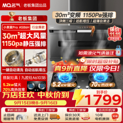 名气 老板出品30立方自清洗免拆洗顶侧双吸家用大吸力A586H烟灶炉灶套装燃气灶