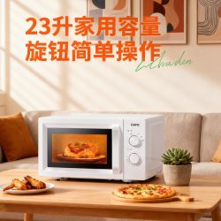 格兰仕 P70D20TL-D4 微波炉 20L 白色
