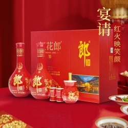 郎酒 红花郎10 53%vol 酱香型白酒 500ml*2瓶 礼盒装
