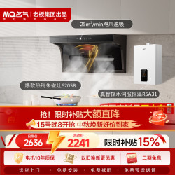 名气 顶侧双吸25风量大吸力 家用 抽吸油烟机R5A31燃热