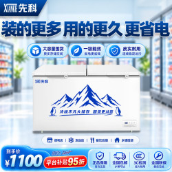 先科 大冰柜 500升