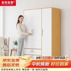 金经金属 钢制衣柜主卧室家用出租房铁艺落地柜环保铁皮儿童衣橱长1.2米