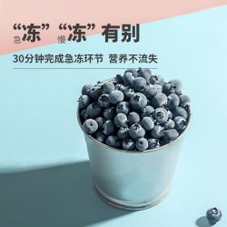 冷冻混合莓果 冰冻蓝莓红树莓黑莓桑葚速冻水果 轻卡轻糖浆果组合