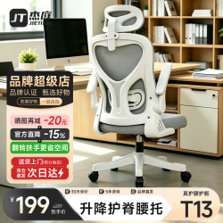 杰庭 电脑椅家用人体工学椅子办公椅靠背学生学习椅写字书房电竞游戏椅 白灰