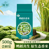 瑶珍 鸭稻珍香米500g 长粒香米 大米 新米