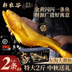 轩农谷 大黄鱼礼盒舟山深海大黄花鱼2斤鲜活新鲜冷冻野生鱼类海鲜