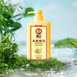 霸王 生姜首乌去屑洗发水