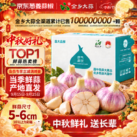 金乡大蒜 紫皮大蒜头 5-6cm 2000g