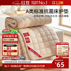 Hodo A类抗菌床护垫可折薄垫宿舍床褥床垫遮盖物软垫保护垫150*200cm咖