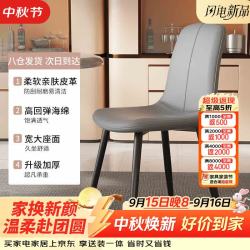 苡茉 餐椅餐桌椅子家用新款椅子凳子靠背椅轻奢北欧高级餐厅主人椅灰色
