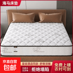 海马 系列席梦思弹簧床垫乳胶椰棕硬垫1.8×2米垫子1.5m护脊20cm厚 邦尼尔弹簧＋椰棕~21cm厚 1.5米×2米